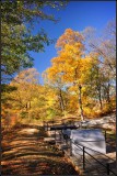 DSC_3237_1.jpg