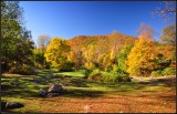 DSC_3275_1.jpg