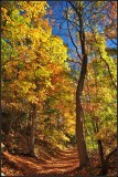 DSC_3310_1.jpg