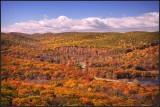 DSC_3464_1.jpg