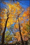 DSC_3504_1.jpg