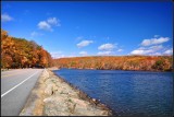 DSC_3648_1.jpg