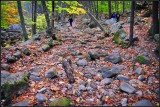 DSC_3720_1.jpg