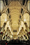 DSC_5561_1.jpg