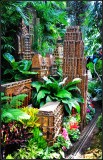 DSC_5934_1.jpg