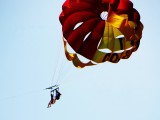 Wingless Flight