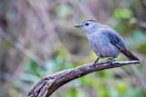 _MG_68355.jpg