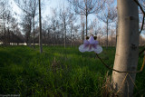 DSC_3441.jpg