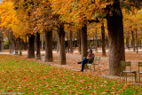 DSCF3987.jpg