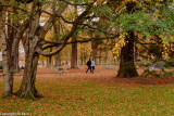 DSCF4069-4.jpg