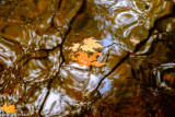 DSCF4108.jpg