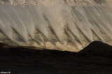 DSC_2861-2.jpg
