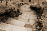 The Portland Japanese Garden and the Portland Area