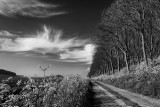 Landscape around Kampen