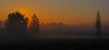 Foggy Sunrise