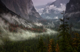 Yosemite Fog