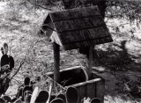 wellhouse cooltone.jpg