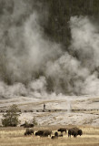 Yellowstone Landscapes: Weird, Mystical, Wonderful