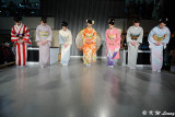 Kimono Show DSC_3404