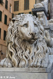 Lion scupture @ San Lorenzo Cathedral DSC_7558