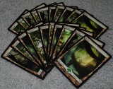 MTG 11_2_13_42.jpg