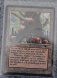 MTG 11_8_13_48.jpg
