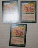 MTG_12_3_13_15.jpg