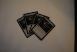 MTG 3_6_1416.jpg