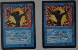 MTG_6_21_56.jpg
