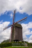 DSC_5366A.jpg