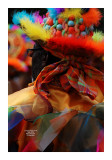 Carnaval Tropical de Paris 2013 - 5