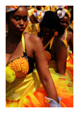 Carnaval Tropical de Paris 2013 - 11