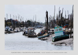 Charente-Maritime, Marenne