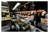 Tsukiji Fish Market - Tokyo 41