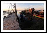 Palafittic harbour, Carrasqueira, Portugal 2009