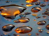 Amber Drops Of Rain 20130706