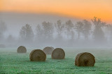 Bales in Foggy Sunrise 35635-40