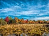 Autumn Marsh DSCF09764