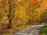 Autumn Backroad DSCF09775