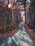 Back Road Shadows DSCF11526-8