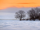 Winter Sunrise Fog 20131216