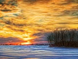Winter Sunset DSCF12343
