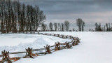 Split-rail Snowscape 20140129