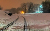 Tracks In The Snow 42559