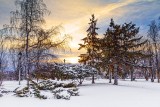 Centennial Park 43358