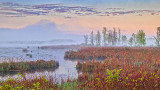 The Swale At Sunrise 20140524