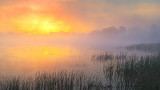 Foggy Sunrise 20140601