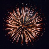 Canada Day 2014 (44206)