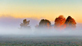 Farm In Sunrise Fog P1010083