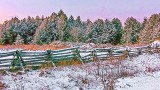 November Snowscape 20141118